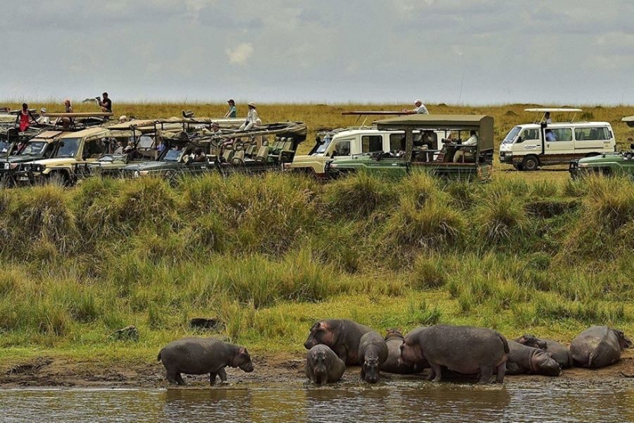 Kenya Safari Holiday Tours Kenya Adventure Safaris Blavals