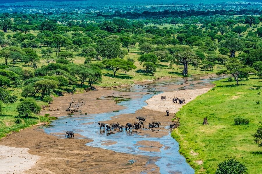 Tarangire National park.