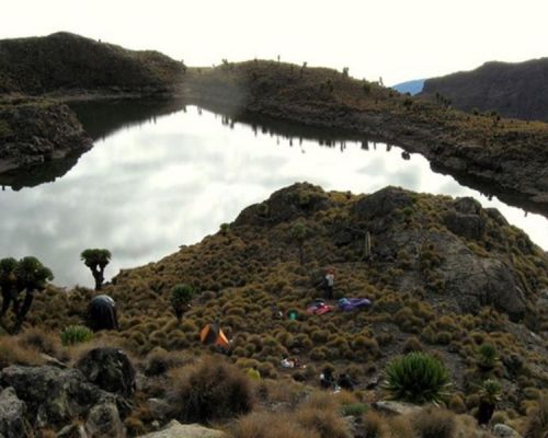 Mt. Kenya National Park | Toombili Adventures