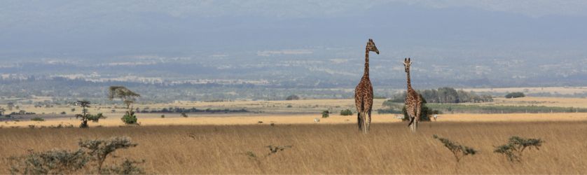 ABERDARES NATIONAL PARK