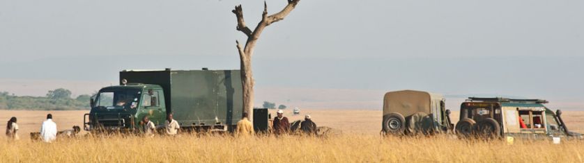 Bush Breakfast