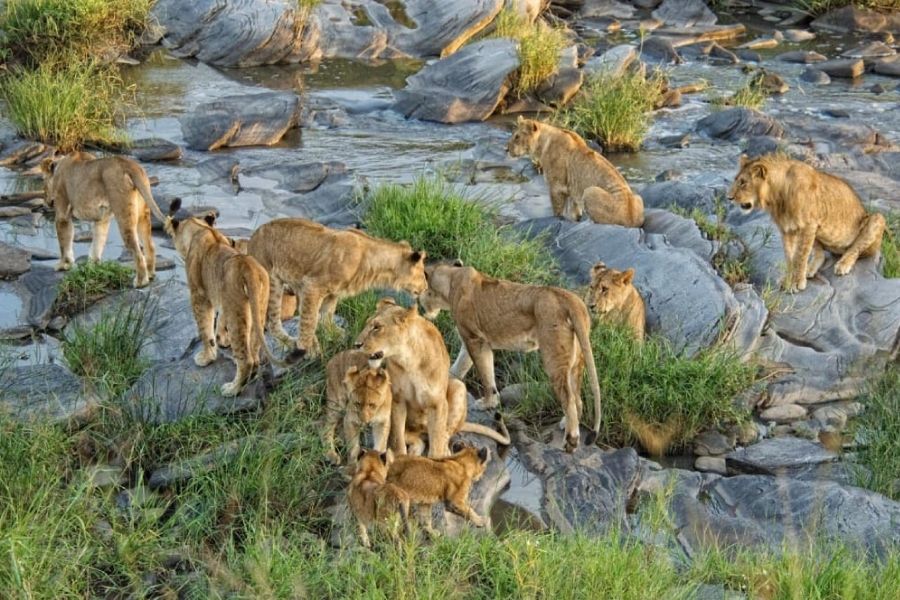 Mara Triangle Conservancy | Toombili Adventures