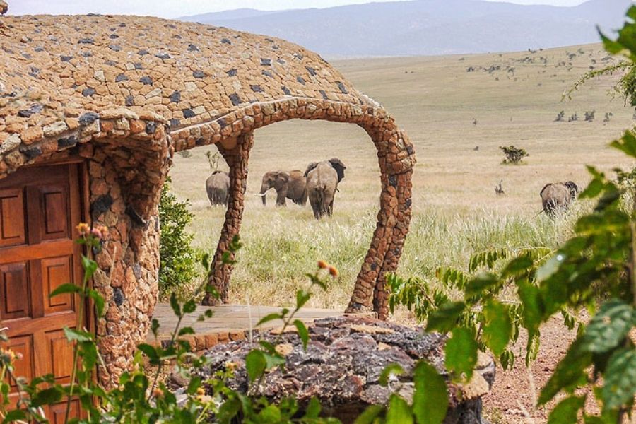 Lewa Conservancy | Laikipia